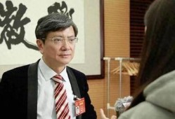 郑强最新爆料视频大全,揭秘背后真相与惊人内幕