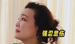 孟贺爆料视频大全最新版,揭秘娱乐圈不为人知的一面