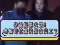 扒叔最新爆料消息新闻,最新爆料新闻背后的惊人真相
