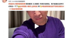 爆料杨迪的人是谁啊视频,真相背后引热议