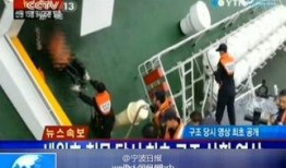 海员真实爆料视频播放大全,揭秘海上生活与工作内幕