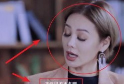 宁静采访爆料视频完整版,揭秘娱乐圈幕后真相与个人心路历程