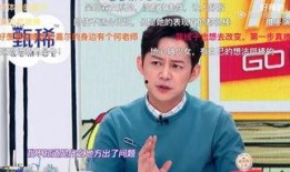 何炅往事爆料视频在线观看,那些不为人知的幕后故事
