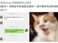 新瓜最新爆料网红是谁啊,网红界新晋风云人物是谁？